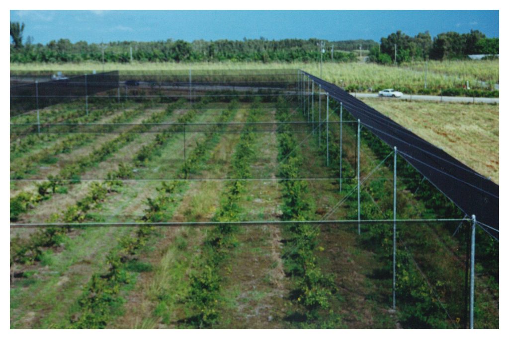 Elevated view of an orchard enclosed by protective netting on posts and cables