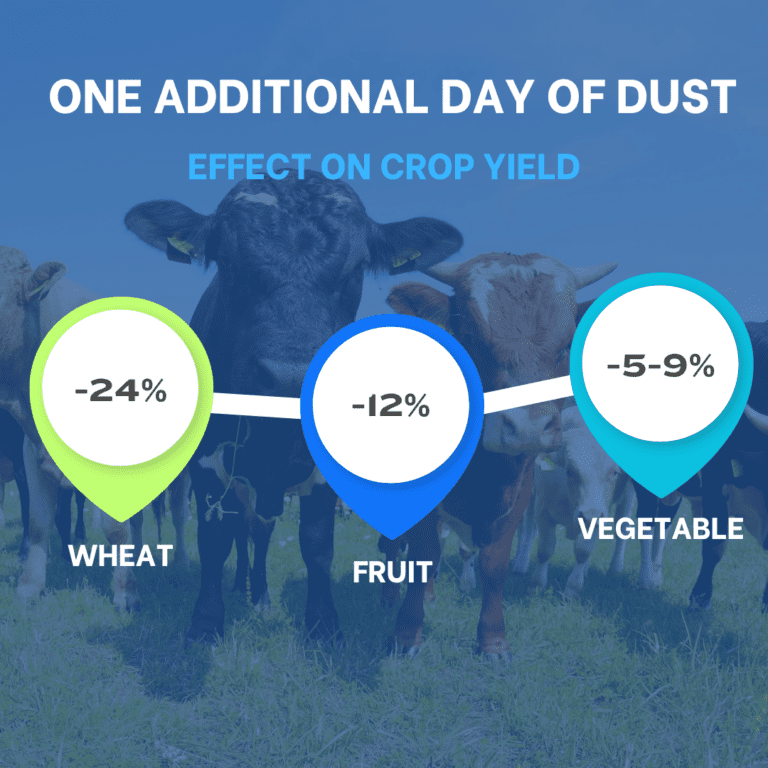 Infographic showing the impact of one additional day of dust on crop yields: Wheat -24%, Fruit -12%, Vegetable -5-9%, with a background image of cows in a field.