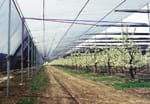 Swivel retractable canopy for agriculture — Crop Protection