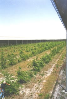 Canopycaremlg — Crop Protection