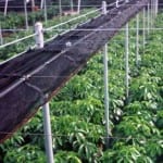Crop protection system clip image 006 — Crop Protection