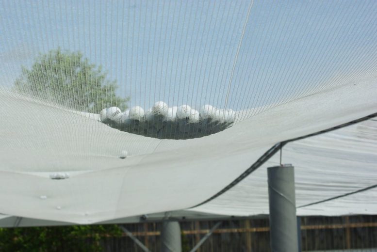 A hail net canopy with a cluster of golf balls caught in it