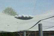 A hail net canopy with a cluster of golf balls caught in it