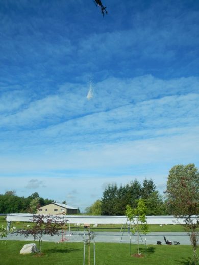 A drone flies in a clear blue sky above a grassy area with trees and a building